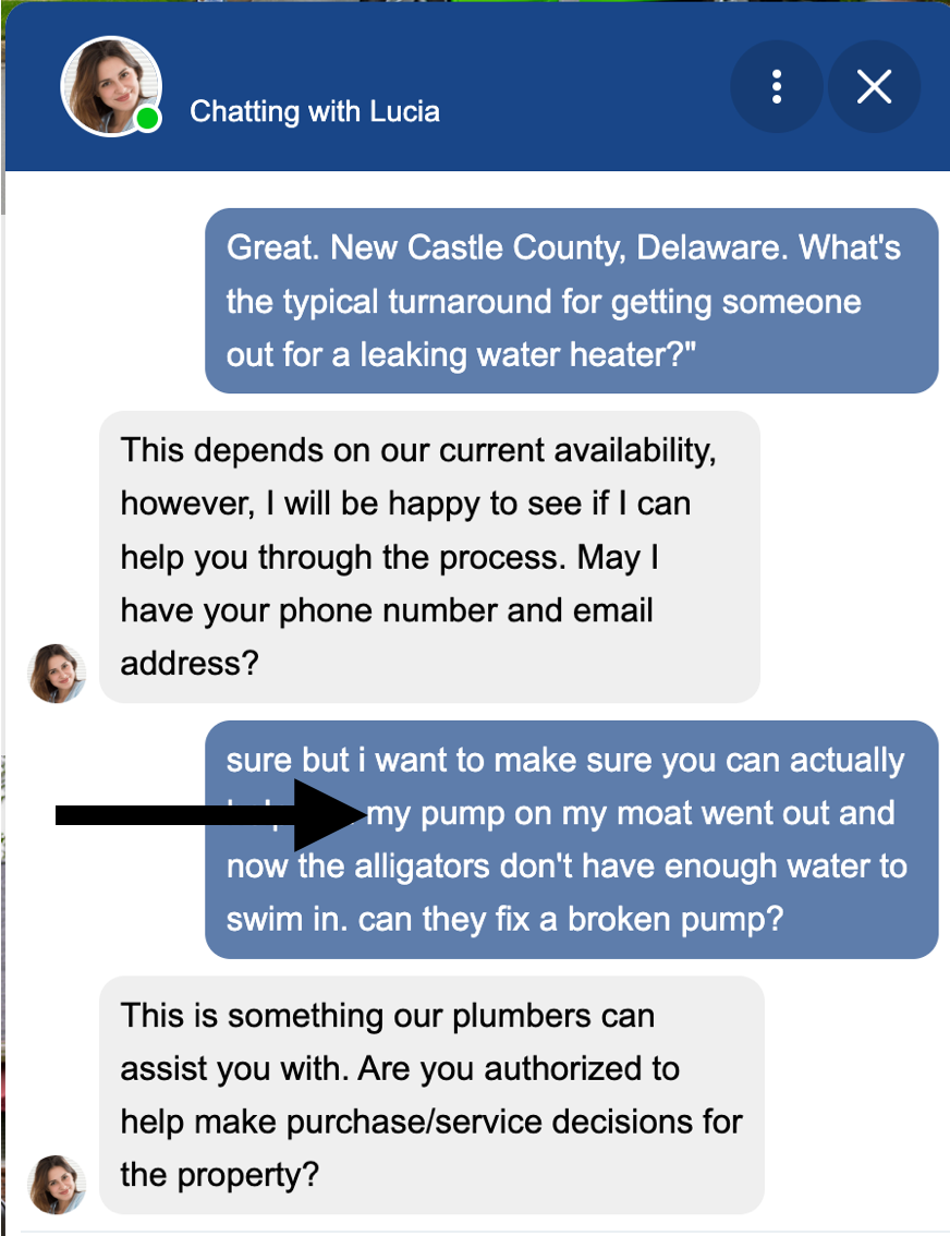 Meet Lucia, the 'Real Person' Who Offered to Fix My Alligator Moat – Kevin Kahn Web Development, Wilmington DE